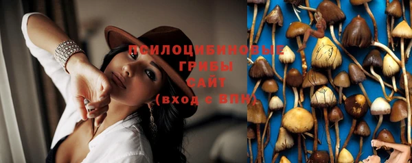 дмт Абинск