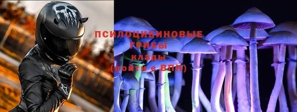 гашик Няндома