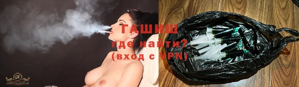 гашик Няндома