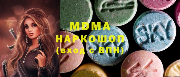 гашик Няндома