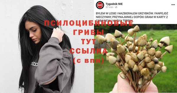 дмт Абинск
