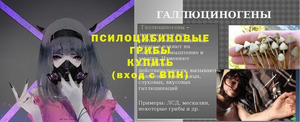 спайс Нягань