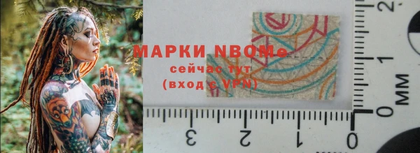 гашик Няндома