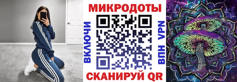 Галлюциногенные грибы Psilocybine cubensis  купить  сайты  блэк спрут ссылка  Сертолово 