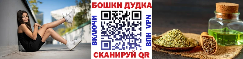 где купить наркотик Сертолово Бошки марихуана SATIVA & INDICA
